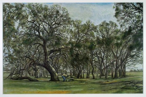 among trees