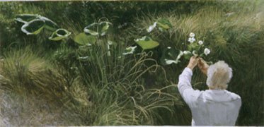 Picking the Mount Cook lily 2000