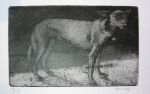 dog - hand coloured Brian Dunlop etching
