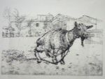 goat Italy - hand coloured Brian Dunlop etching
